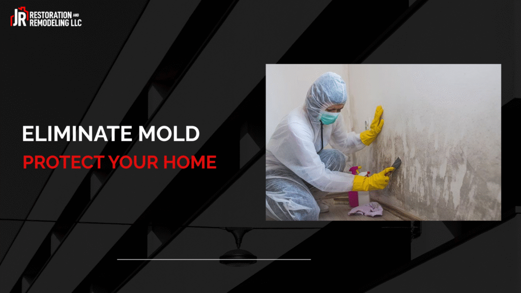 Trusted Mold Remediation Service in Maryland JR Restoration