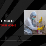 JR Restoration’s Guide to Effective Mold Remediation Service in Maryland Homes