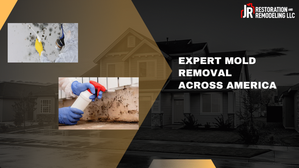 Mold Remediation Services in United States | JR Restoration